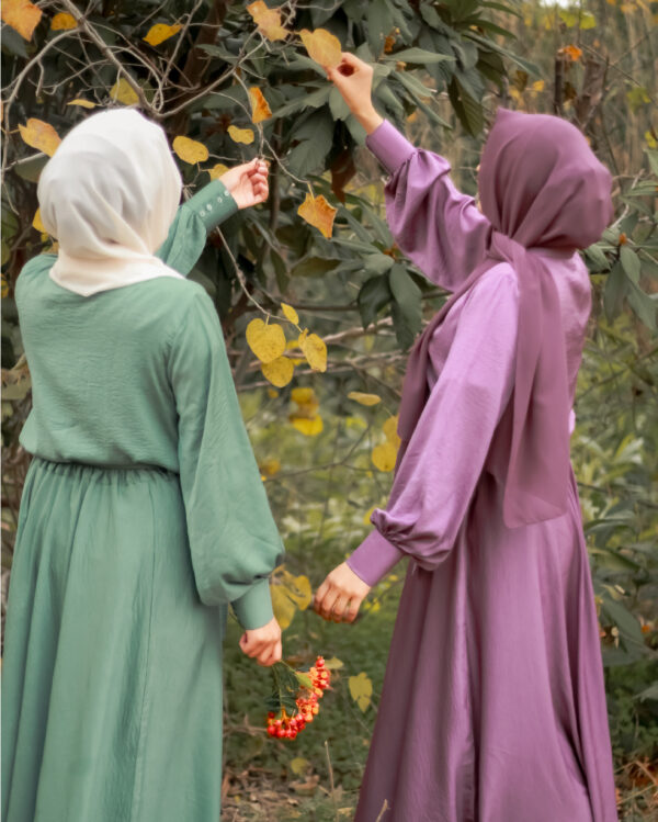 Mint (1) Enchanting Mauve Hareer Dress 1P