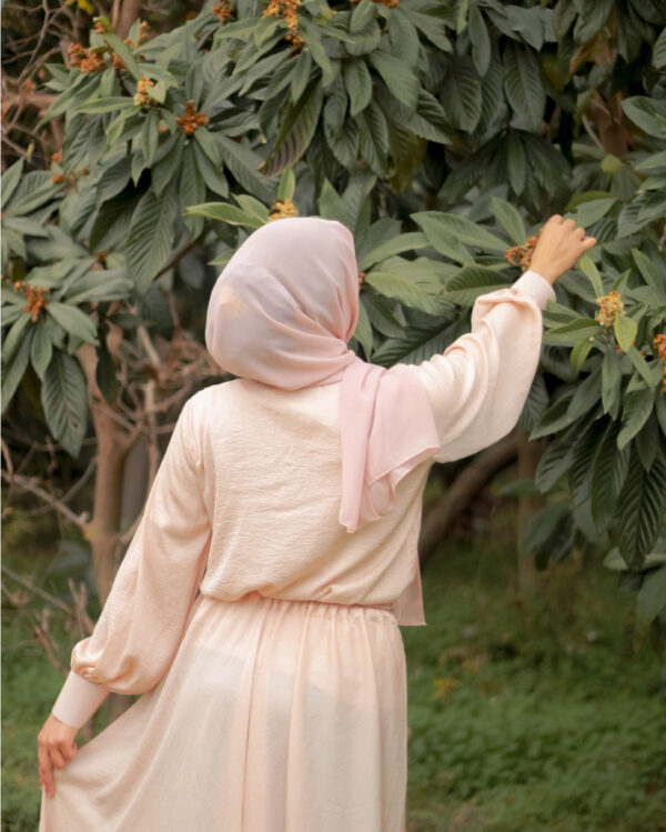 Untitled-1-10 Serene 1P Blush Hareer Dress