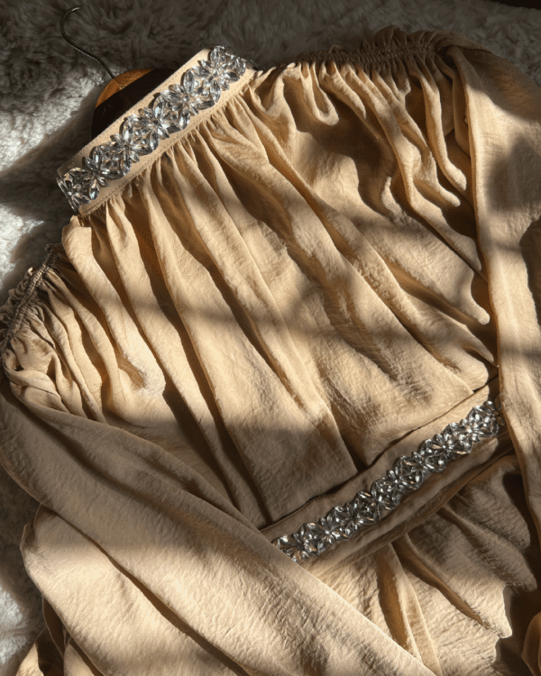 Untitled-1-10-min Dazzling Beige Hareer Party Abaya-Edit 3
