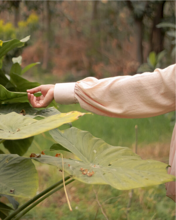 Untitled-1-12 Serene 1P Blush Hareer Dress