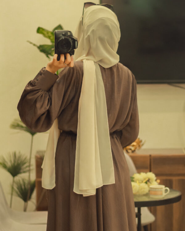 Elegant Mocha Brown Hareer Dress1P