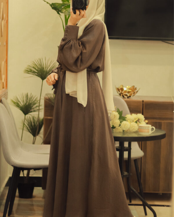 Elegant Mocha Brown Hareer Dress1P