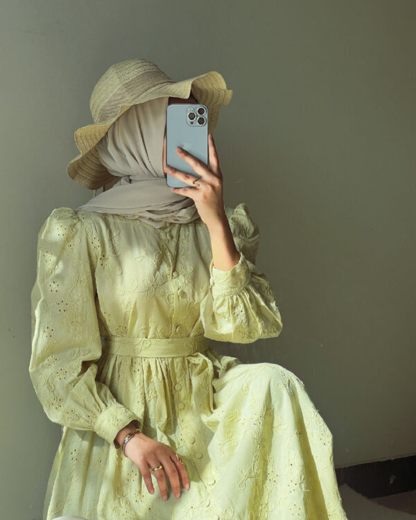 Pure Elegant Brodrie Embroidered Sage Green Dress