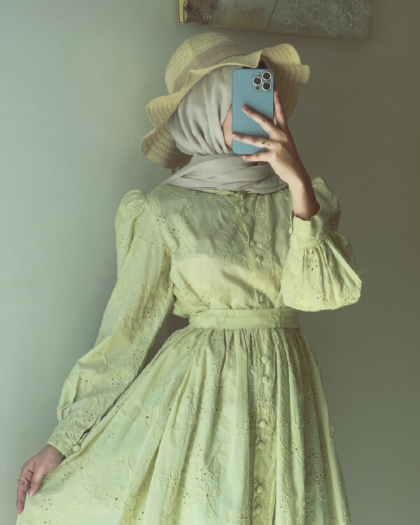 Pure Elegant Brodrie Embroidered Sage Green Dress