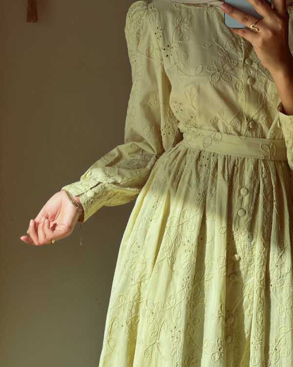 Pure Elegant Brodrie Embroidered Sage Green Dress